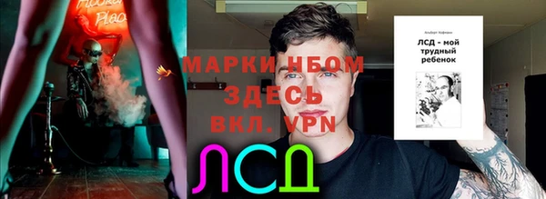 спайс Арсеньев