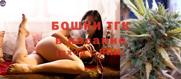 спайс Арсеньев